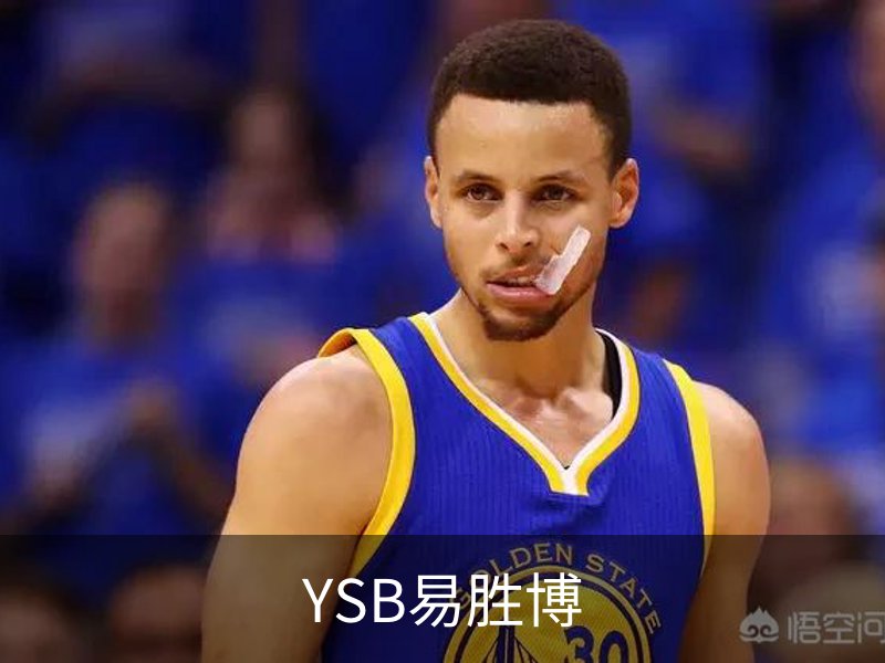 YSB易胜博概况